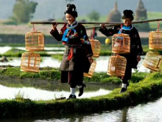 貴州旅游花多少錢_貴州九月旅游_貴州游跟團多少錢