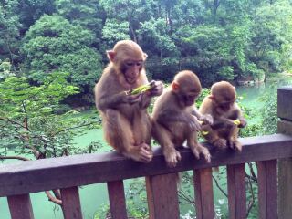 貴州旅游花多少錢_貴州九月旅游_貴州游跟團多少錢