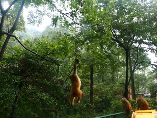 貴州旅游花多少錢_貴州九月旅游_貴州游跟團多少錢