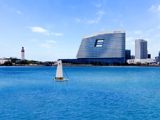 怎么去廈門旅游_廈門旅游組團_廈門旅游費用多少
