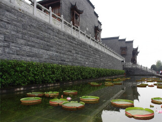 重庆7日跟团旅游_重庆六日跟团游_旅行团重庆旅游
