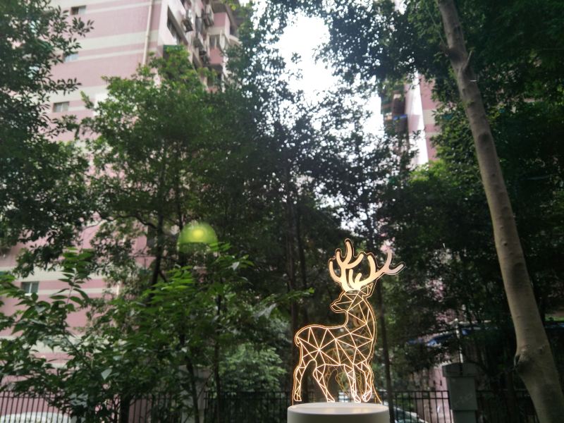 成都小幸运青年旅舍