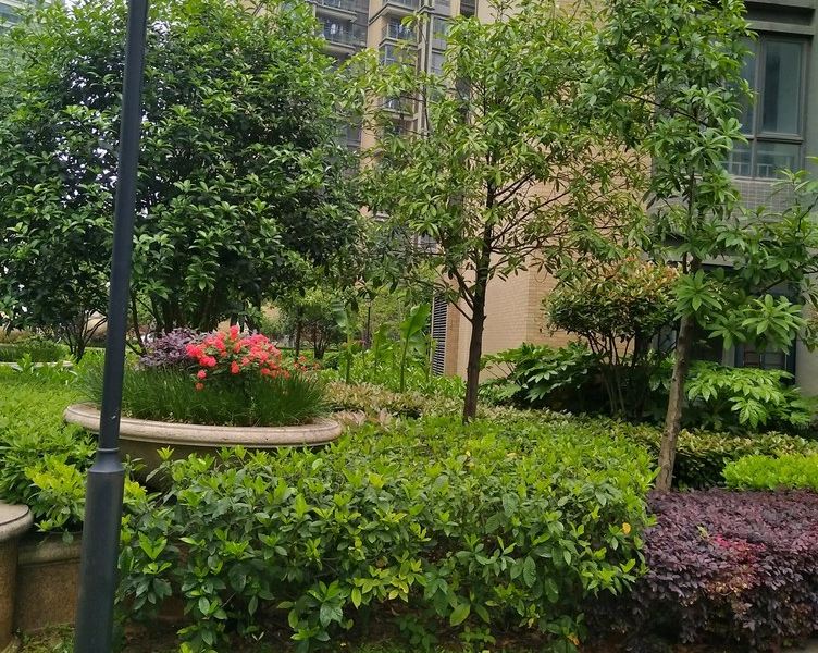 hotelPic