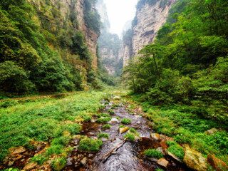 湖南張家界自由行費用_湖南張家界旅游報團價格_2021年湖南張家界旅游團報價