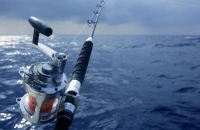深海垂钓
