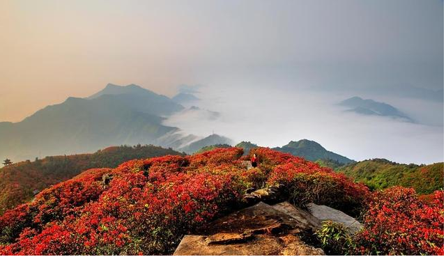 贵州黔东南丹寨县龙泉山:除了花海,这里还是祭祀蚩尤的苗族圣山