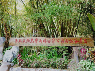 2023去西双版纳跟团多少钱_去西双版纳旅游要带多少钱_西双版纳旅游价目