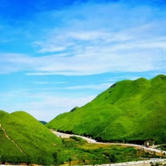 景点模块 