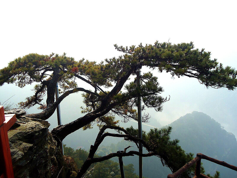 你好2018【途牛首发】3天2晚徒步游庐山