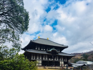 日本游十一天需要多少钱_年底去日本旅游_去日本旅游随团