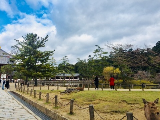 日本游十一天需要多少钱_年底去日本旅游_去日本旅游随团