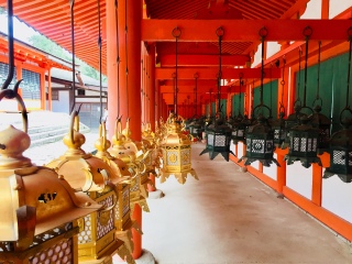 日本游十一天需要多少钱_年底去日本旅游_去日本旅游随团