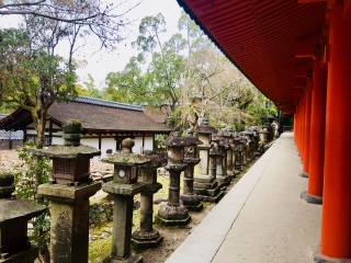 日本游十一天需要多少钱_年底去日本旅游_去日本旅游随团