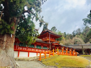 日本游十一天需要多少钱_年底去日本旅游_去日本旅游随团