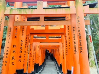 日本游十一天需要多少钱_年底去日本旅游_去日本旅游随团