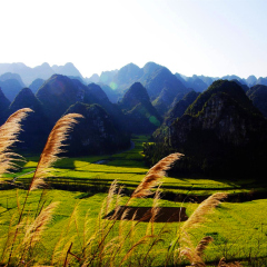 景点模块 