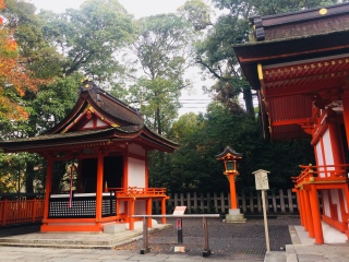 日本游十一天需要多少钱_年底去日本旅游_去日本旅游随团