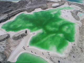 8月青海湖旅游_青海湖特價(jià)旅游團(tuán)報(bào)價(jià)_去青海湖報(bào)團(tuán)多少錢