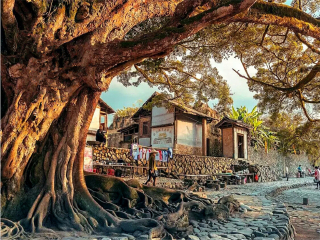 廈門鼓浪嶼旅行團旅游報價_2021去廈門鼓浪嶼旅游團報價_廈門鼓浪嶼高端品質(zhì)旅游團