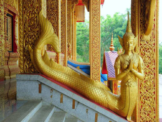 云南西雙版納自由游價(jià)格多少_去云南西雙版納靠譜的旅行團(tuán)_到云南西雙版納旅游報(bào)團(tuán)價(jià)格