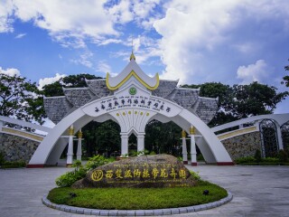 西双版纳旅游旅行团价格_西双版纳国际旅行_西双版纳10日游