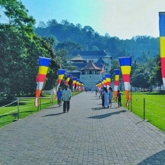 景点模块 