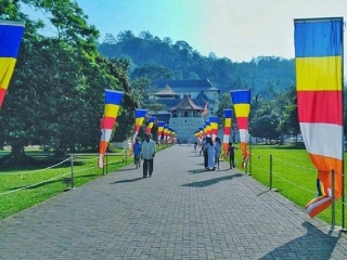 几月去斯里兰卡旅游便宜_斯里兰卡五日游旅行团_斯里兰卡旅游本土