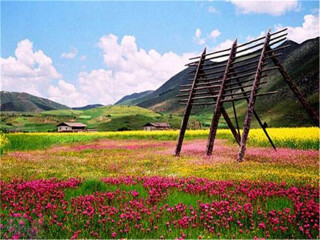 云南大理麗江報團多少錢_云南大理麗江旅游組團_云南大理麗江旅行團自由行
