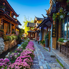 活动模块 