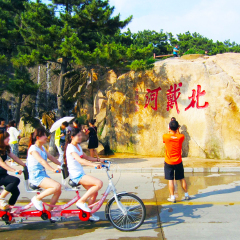 活动模块 