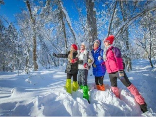 跟团去哈尔滨旅游价格_哈尔滨旅游选择_2023去哈尔滨旅游团报价