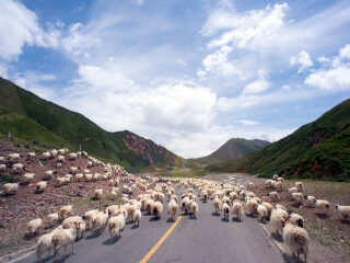 西寧最佳旅游路線_西寧跟團(tuán)還是自由行_去西寧靠譜的旅行團(tuán)