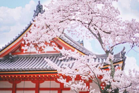 <日本本州-东京+京都-大阪7日游>成都直飞 双点进出不走回头路 拒签无忧拼房无忧 限时抢WIFI 秋季赏枫 双古都 温泉美食 B线大阪自由 D线东京自由