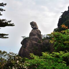 景点模块 