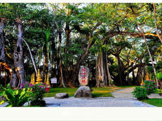 西双版纳旅游要带多少钱_西双版纳旅游团报价6月_西双版纳旅游跟团
