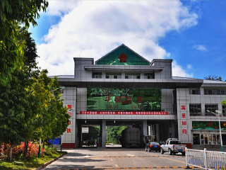 西双版纳旅游要带多少钱_西双版纳旅游团报价6月_西双版纳旅游跟团