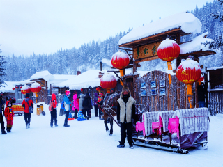 哈尔滨八日旅游团_哈尔滨十一旅游团_去哈尔滨旅游怎么走