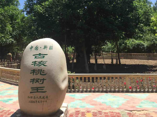 新疆报团旅游价格_中国去新疆旅游_去新疆靠谱的旅行团