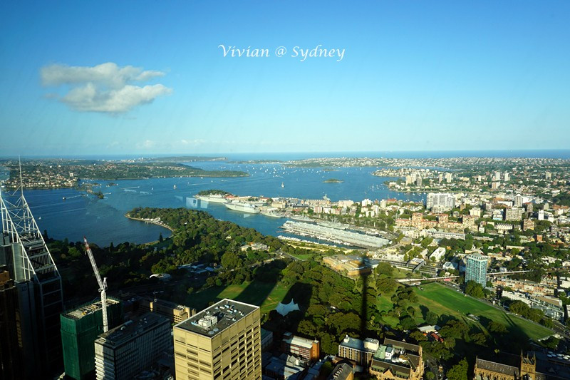 悉尼塔(sydney tower),高304.