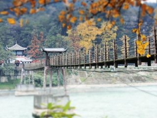都江堰旅游組團(tuán)_去都江堰游要多少錢_都江堰游跟團(tuán)