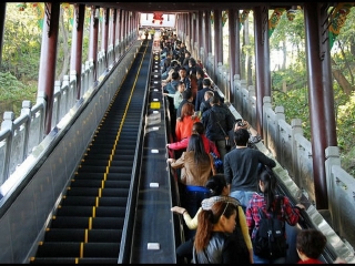 都江堰旅游組團(tuán)_去都江堰游要多少錢_都江堰游跟團(tuán)