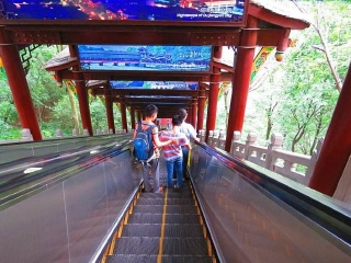 都江堰旅游組團(tuán)_去都江堰游要多少錢_都江堰游跟團(tuán)