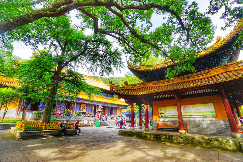 法雨禅寺            