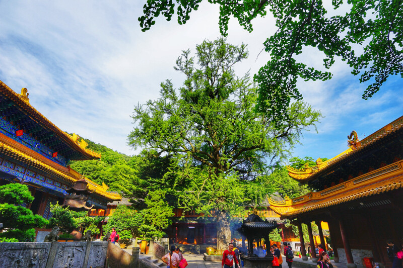 【首发】#行动#单车自驾:普山,三大