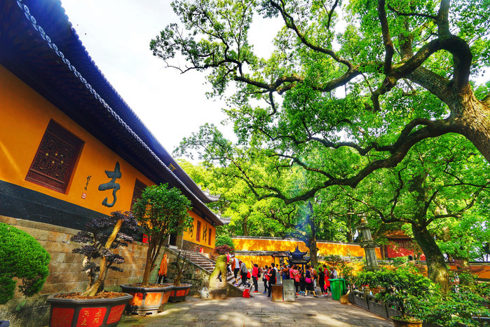 法雨禅寺            