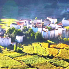 小交通模块 