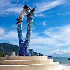 活动模块 