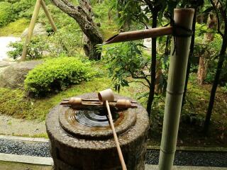 日本游十一天需要多少钱_年底去日本旅游_去日本旅游随团
