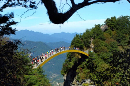 <湖北武汉-长江三峡-神农架-大九湖-武当山7日游>全程精选酒店，升级1晚古镇森林酒店，体验武当山太极养生功，畅游三峡大坝，享特色餐