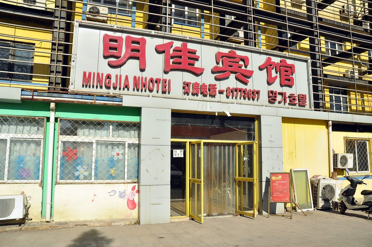 外观